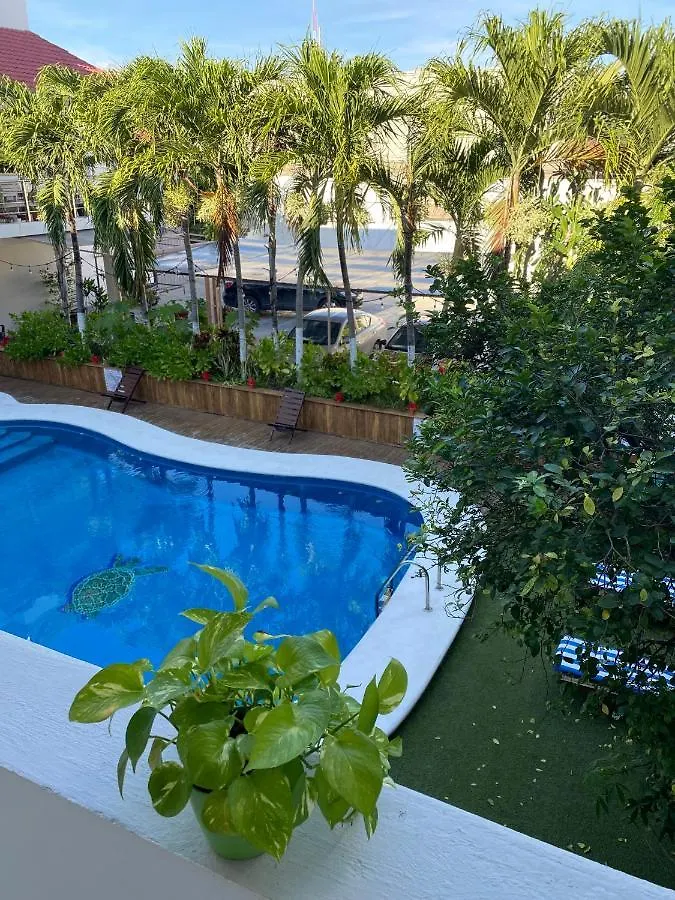 Hotel Balxiba Alberca Y Estacionamento Playa del Carmen