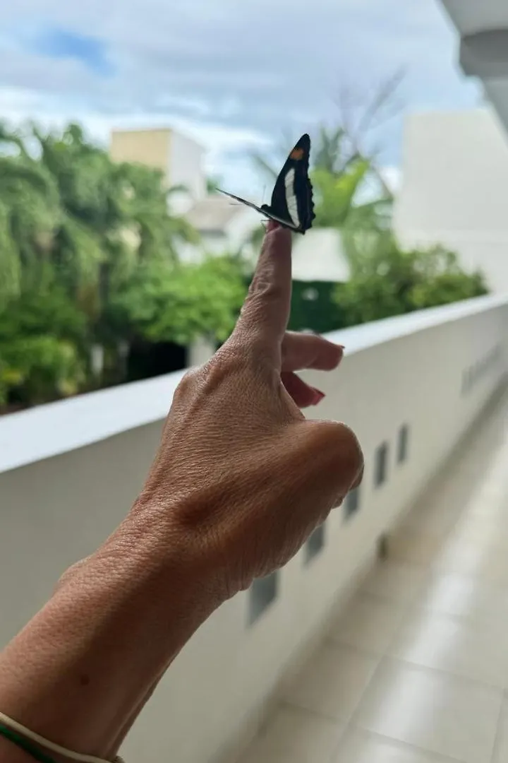 Hotel Balxiba Playa del Carmen Mexico