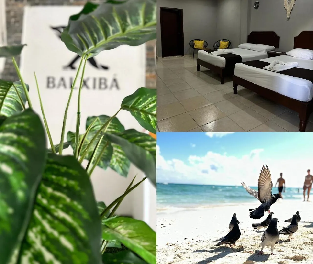 Hotel Balxiba Playa del Carmen